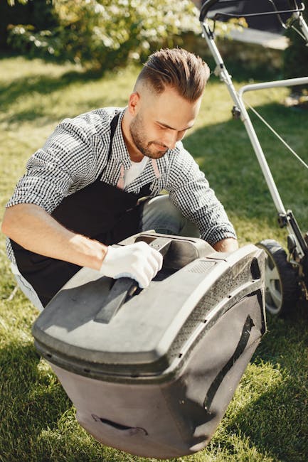 A person using a lawn mower on a well-maintained garden lawn during the daytime, with bright sunlight illuminating the scene. The foreground features lush, green grass that appears freshly cut, while the background shows trimmed hedges and trees with leafy canopies. The person is standing behind a black and gray petrol-powered mower, wearing light-colored shorts or a skirt, with the lower part of their body visible. The garden layout includes a pathway bordered by neatly edged flower beds and garden borders. The environment looks tidy and cared for, with leaf debris being cleared by the mower. Gardeners Balham is providing professional lawn care and hedge trimming services, as indicated by their natural presence in the scene. The overall atmosphere suggests a focus on garden maintenance and landscaping work, with warm, natural lighting highlighting the textures of the grass and surrounding foliage.