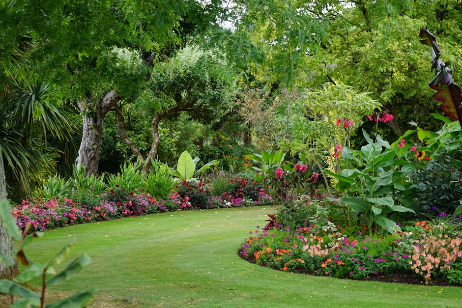 A lush garden scene featuring a well-maintained green lawn bordered by vibrant flower beds with pink, orange, and purple blooms. Tall, leafy plants and shrubs with large green leaves grow alongside mature trees with textured bark and sprawling branches, providing a shaded canopy. The garden showcases a variety of textures, from the smooth, freshly mowed grass to the leafy foliage and delicate petals of the flowers. In the background, dense green foliage creates a natural, enclosed atmosphere, while a sense of care and maintenance is evident in the neatly trimmed borders and healthy plant growth. The scene is illuminated by natural daylight, highlighting the vivid colors and lush greenery. Gardeners Balham likely maintain this landscape as part of their outdoor care and lawn care services, ensuring a vibrant, inviting outdoor space suitable for relaxation and aesthetic enjoyment.